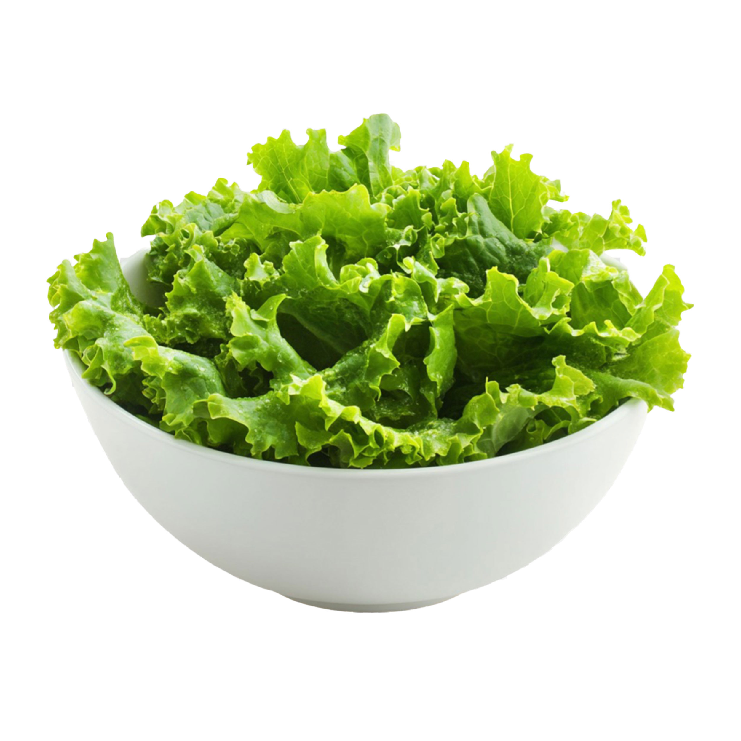 Alface Crespa Sem Agrotóxicos