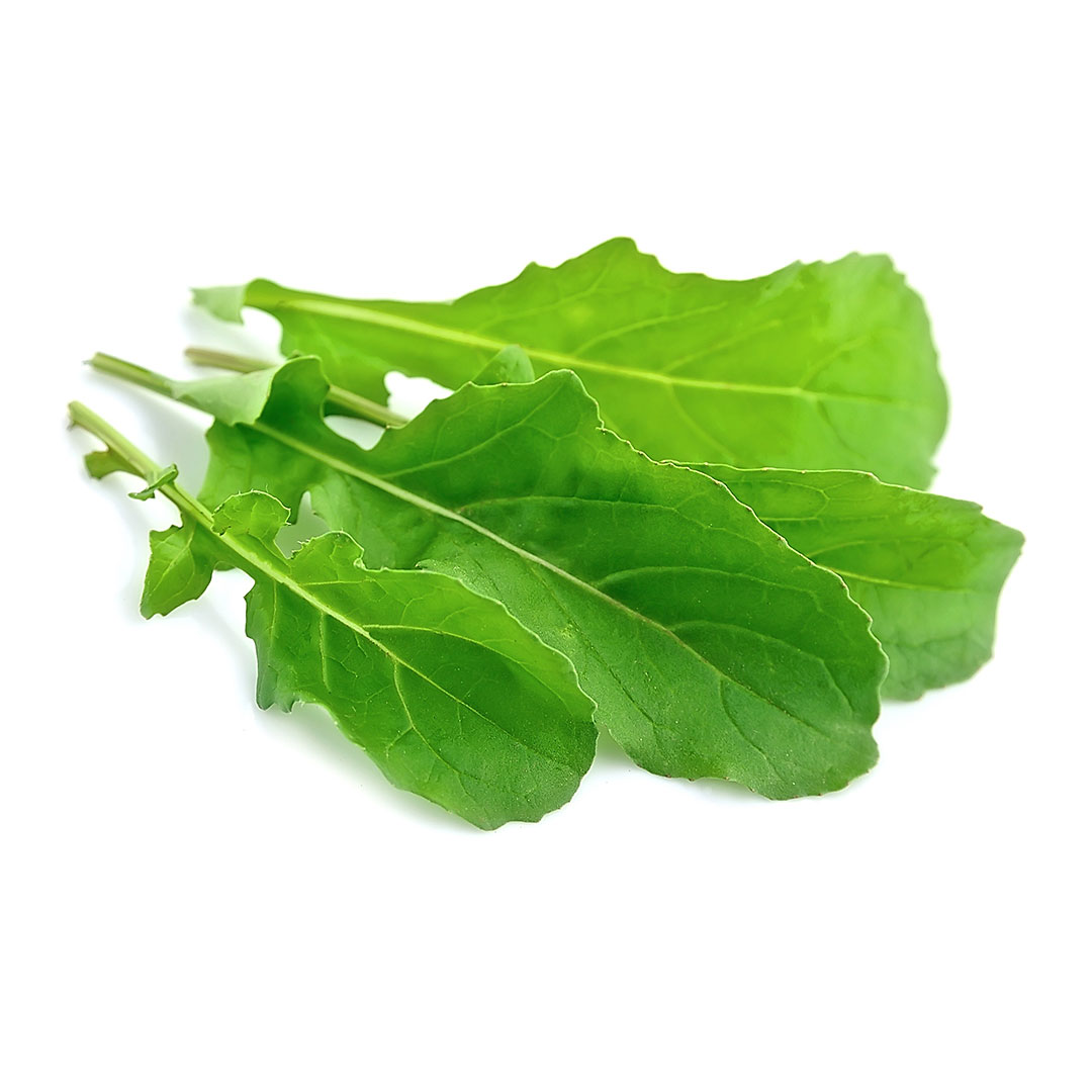 Rúcula Sem Agrotóxicos Maço