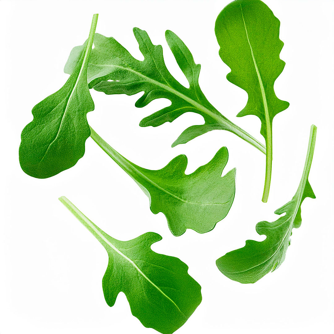 Rúcula Sem Agrotóxicos Maço - Imagem 2