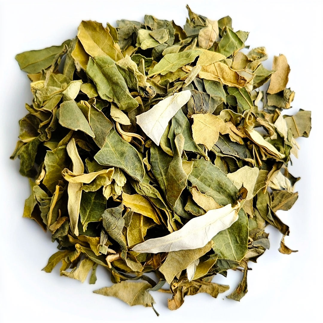 Chá de Espinheira Santa