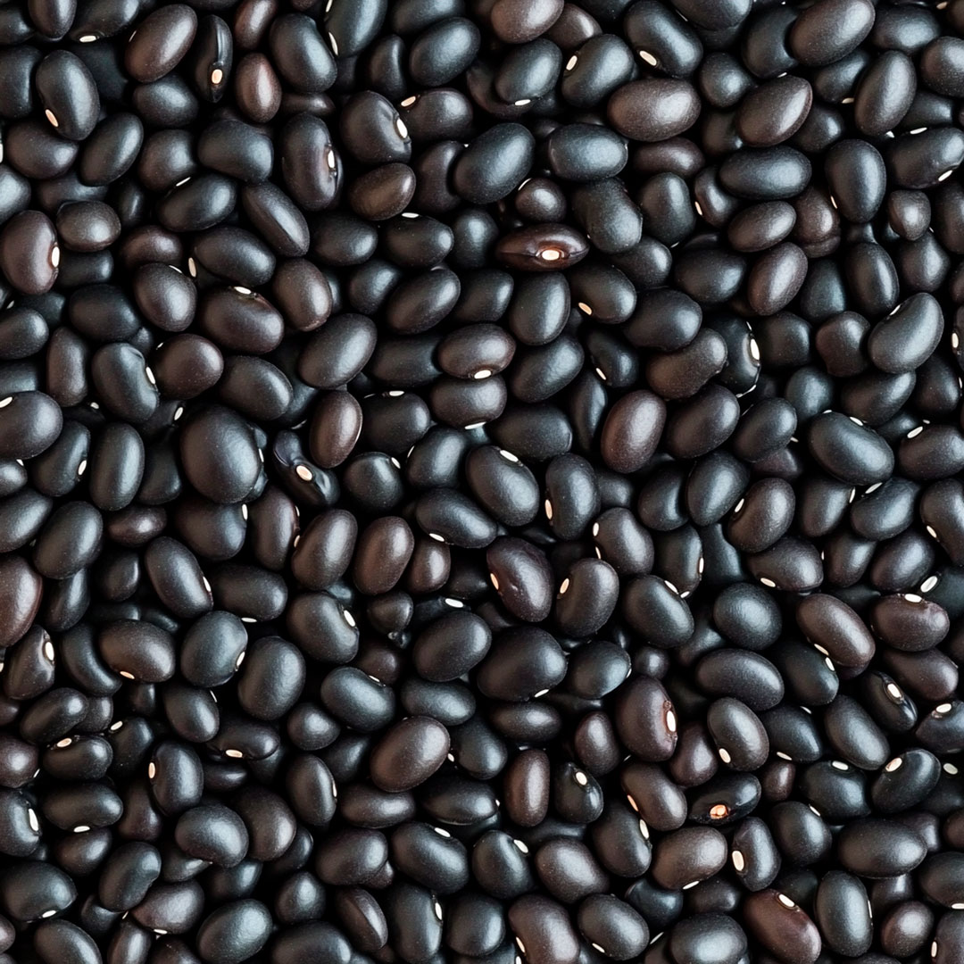 Feijão Preto Orgânico a Granel