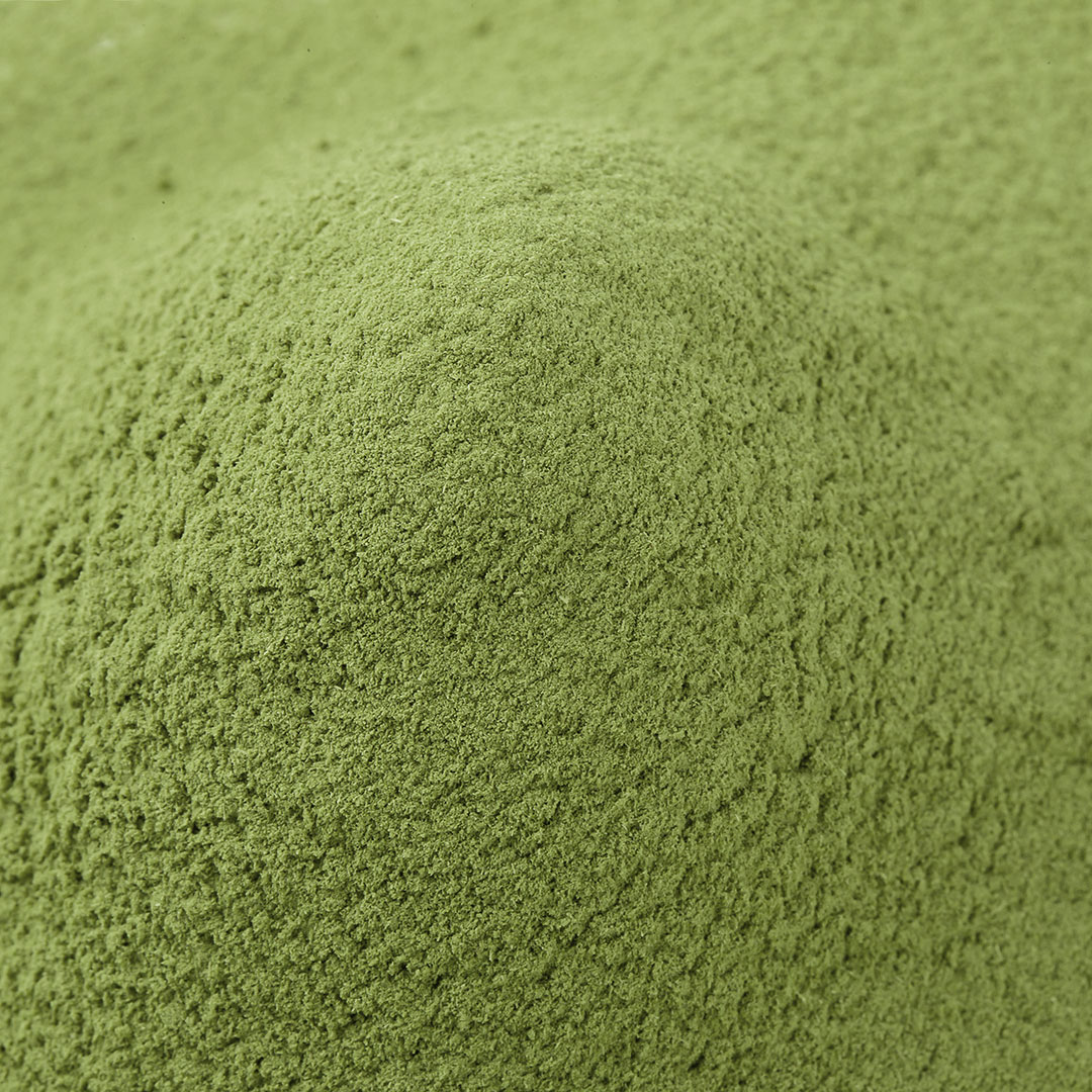 Matcha em Pó