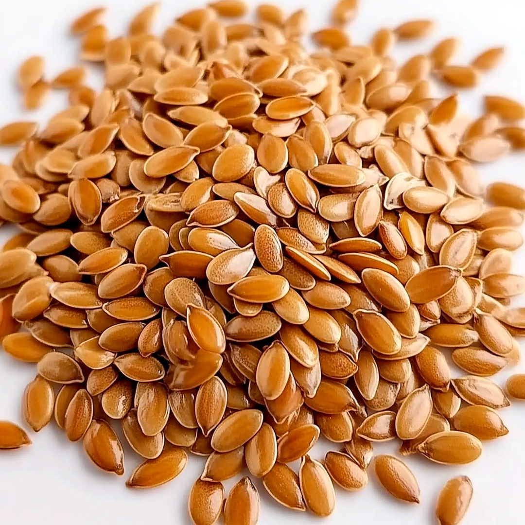 Semente de Linhaça Dourada