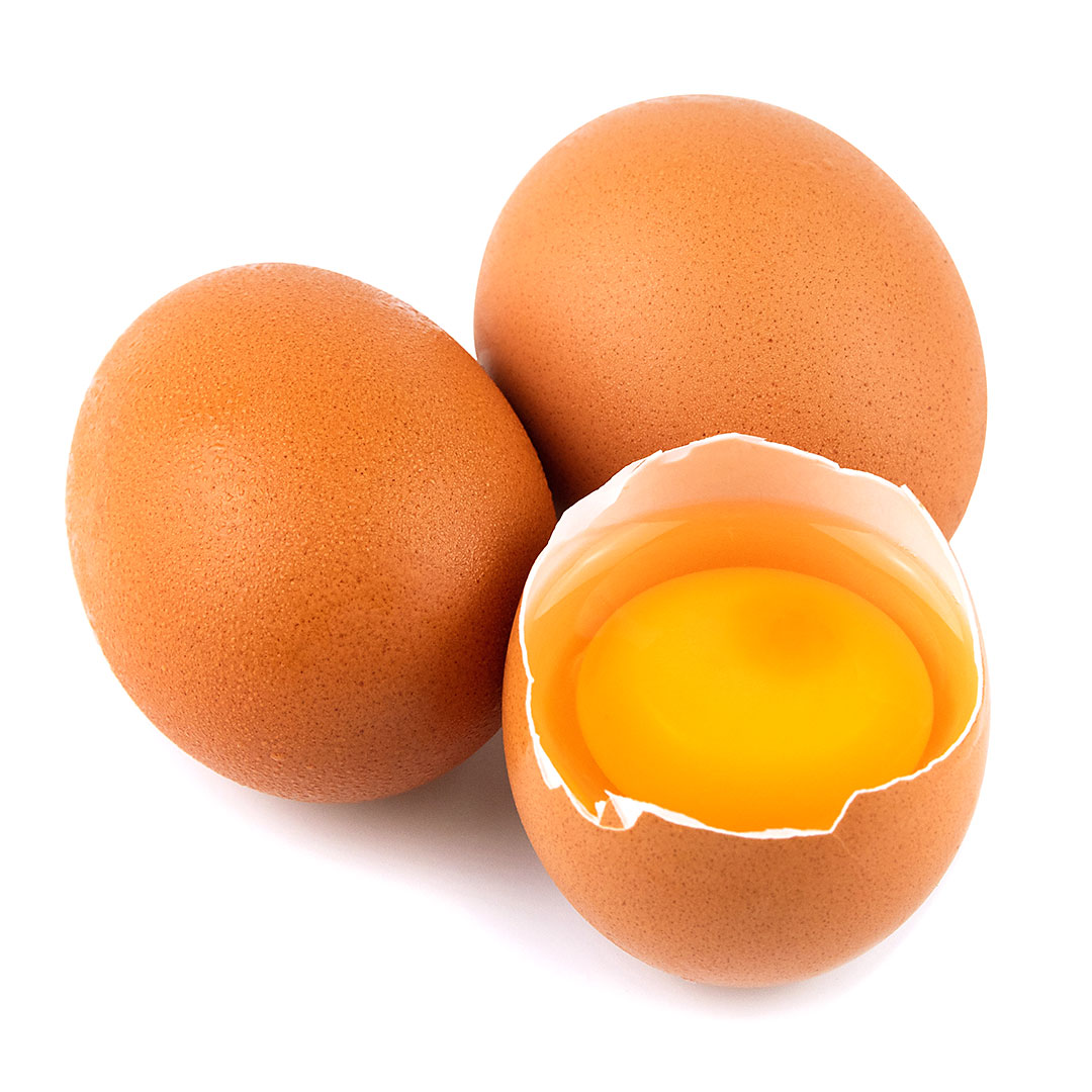 Ovo Orgânico Certificado - 10 unids - Imagem 2