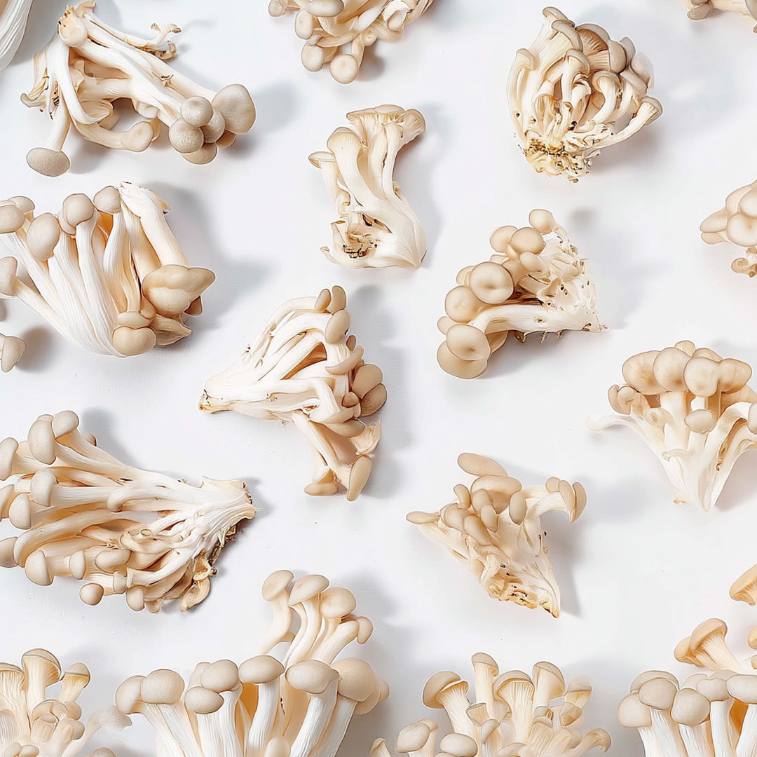 Cogumelo Shimeji 500g